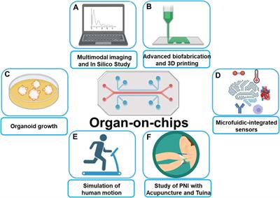 Editorial: Emerging bioanalytical techniques and therapies for human disease models